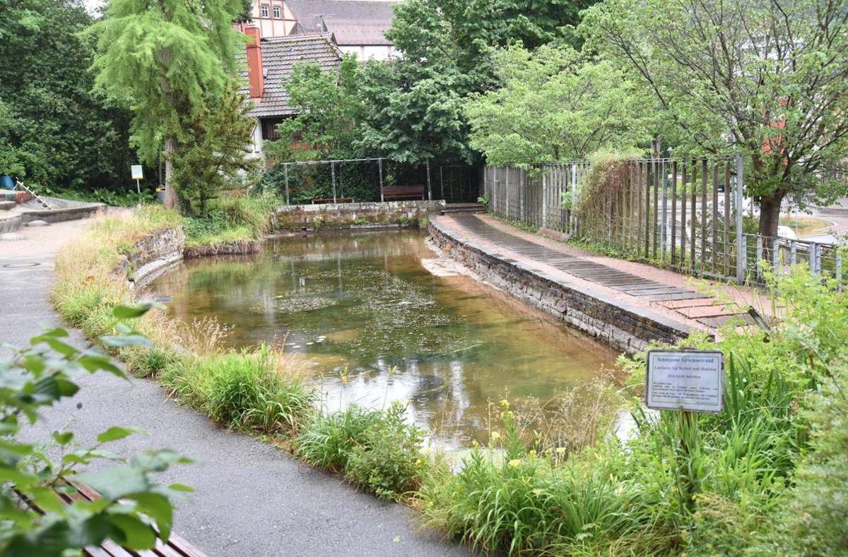 Der undichte Teich im Park der Zeiten kann erst im Oktober saniert werden. Foto: Wegner