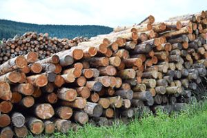 Die Möglichkeit, Holz zu konservieren,  soll im Schorrental mit einem  Nasslagerplatz geschaffen werden. Symbol-Foto: Michel Foto: Schwarzwälder Bote