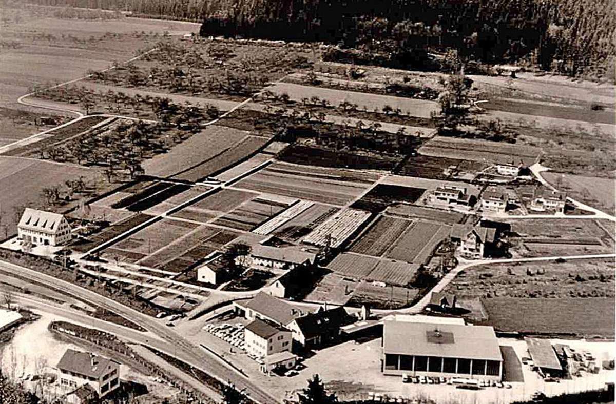 Eine gelungene Aufnahme des Bächlen aus dem Jahr 1968 zeigt das Areal der Landespflanzschule. Foto: Hermann Weber