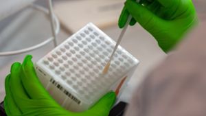 Wie viele Erkrankte tatsächlich einen Stammzell-Spender finden
