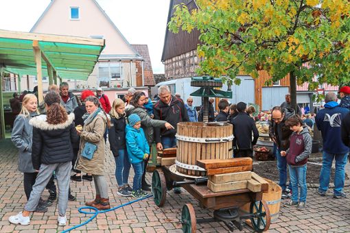 Zahlreiche Besucher gingen jetzt beim Naturparkmarkt mit Mostfest in Rotfelden auf Entdeckungstour. Fotos: Geisel Foto: Schwarzwälder Bote