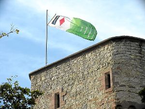 Am Sonntag weht sie wieder: Der Schwarzwaldverein öffnet – für alle sichtbar an der Flagge – den Turm .  Foto: SWV