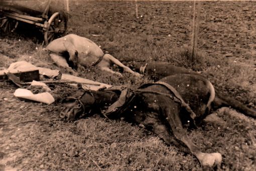 Beim Durchmarsch der Franzosen in Achdorf im April 1945 verendeten einige Pferde. Ross und Wagen der deutschen Soldaten wurden von  französischen Truppen zerstört. Foto: Schwarzwälder Bote