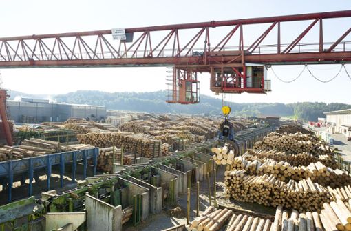 Vor allem Holzprodukte sind massiv im Preis gestiegen. Aber auch zahlreiche weitere Baustoffe sind betroffen. Foto: Schwörer/Jürgen Lippert