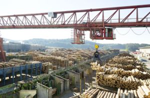 Vor allem Holzprodukte sind massiv im Preis gestiegen. Aber auch zahlreiche weitere Baustoffe sind betroffen. Foto: Schwörer/Jürgen Lippert