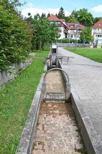 Ein trauriges Bild, so Gemeinderätin Manuela Fauler, präge derzeit den Bereich der Wasserspiele im Eschachpark. Eigentlich solle der Eschachpark ein Aushängeschild sein. Foto: Bantle