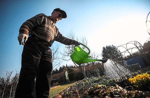Ein Hobbygärtner wässert seine Pflanzen in der Kleingartenanlage Hammerhalde in Villingen. Foto: Eich