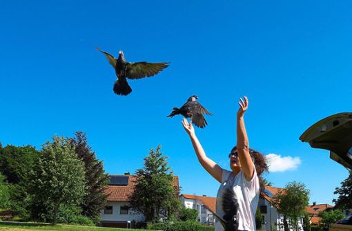 Rita Wöhr lässt ihre Wettkampftauben fliegen. Foto: Hoffmann