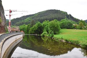 Die Hochwasserschutzarbeiten am Hohenstein laufen bereits seit Mitte Mai.Archiv-Foto: Fritsche Foto: Schwarzwälder Bote