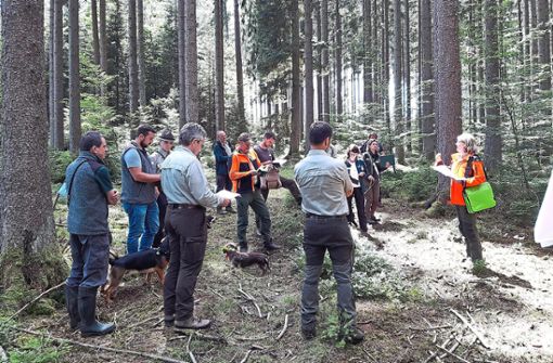 Der Fichten-Anteil geht  drastisch zurück: Waldbautrainerin Kathrin Dürr (ForstBW) stellt das  Konzept  vor  Foto: Renz