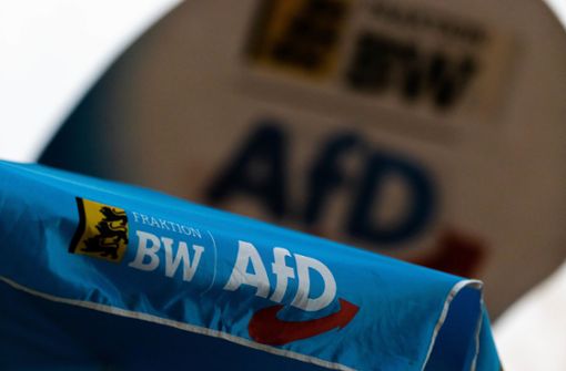 Am Samstag findet der Landesparteitag der AfD in Offenburg statt. Foto: dpa/Philipp von Ditfurth