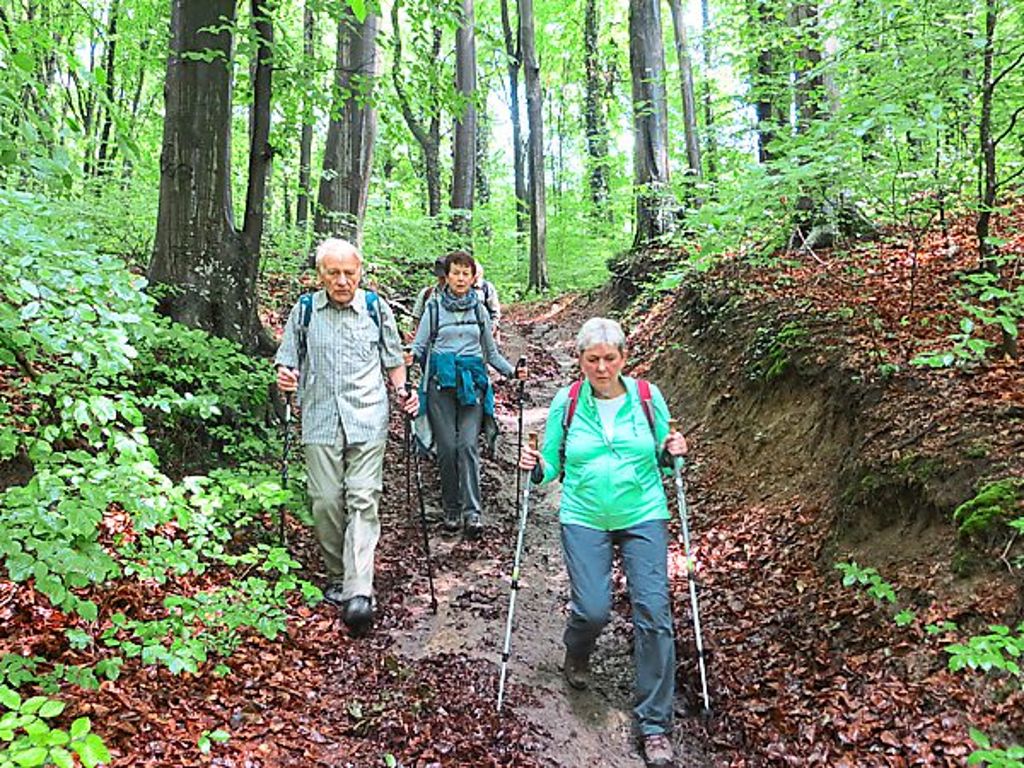 Wandern ist keinesfalls ein Spaziergang: Die Teilnehmer müssen oft auch unbefestigte Strecken überwinden – belohnt werden sie  mit einzigartigen Landschaftseindrücken. Foto: Verein