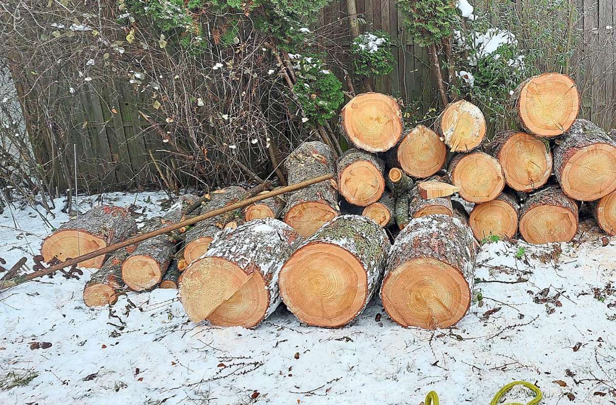 Was übrig bleibt: Viele kurze Baumstämme, die Michael Klotzbücher in den kommenden Tagen zu Brennholz verarbeiten will.