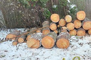Was übrig bleibt: Viele kurze Baumstämme, die Michael Klotzbücher in den kommenden Tagen zu Brennholz verarbeiten will. Foto: Fröhlich