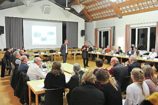 Bei der Diskussion im Rosensaal über die Umgestaltung des Baiersbronner Unterdorfs spielte die Verkehrsplanung eine zentrale Rolle. Foto: Braun Foto: Schwarzwälder-Bote