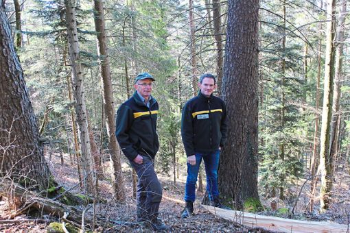 Der Forstamtsleiter Christian Beck (rechts) und Forstrevierleiter Elmar Maier sind gemeinsam im Schömberger Wald unterwegs.                                                                                                                                                    Archiv-Foto: Stiegler Foto: Schwarzwälder Bote