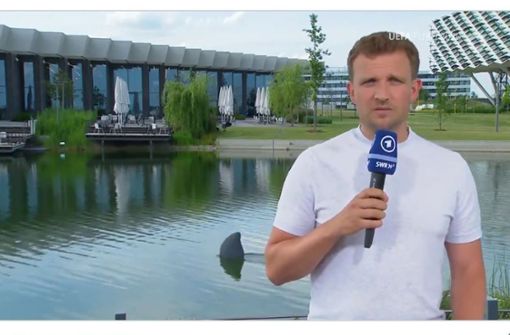 Schwimmt da eine Haiflosse durch das Wasserbecken im Camp der deutschen Nationalmannschaft? Foto: ARD/Twitter/Screenshot