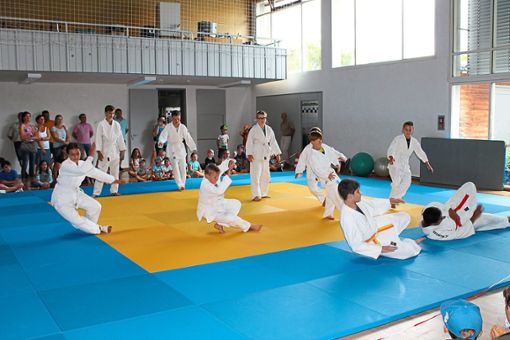 Auf die Matten: Sportlich geht es bei den Judovorführungen zu.  Foto: Privat Foto: Schwarzwälder Bote