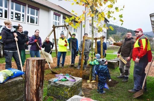 Der Elternbeirat der Kindertagesstätte St. Josef hat sich dafür stark gemacht, dass im Garten schattenspendende Bäume gepflanzt werden. Foto: Graf