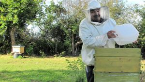Hungernde Bienen attackieren Hobbyimker in Harthausen