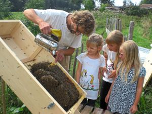 Kinder lernen den Umgang mit Bienen und deren Haltung. Dazu gibt es eine Weiterbildung für Pädagogen. Foto: Mellifera Foto: Schwarzwälder Bote