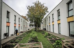 Die angelegten Kräutergärten zwischen den Unterkünften werden von den Flüchtlingen sorgfältig gepflegt Foto: Lichtgut/Leif Piechowski