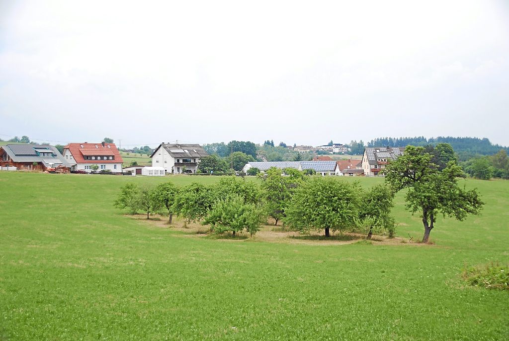 Loßburg: Bäume müssen Kinderhaus weichen