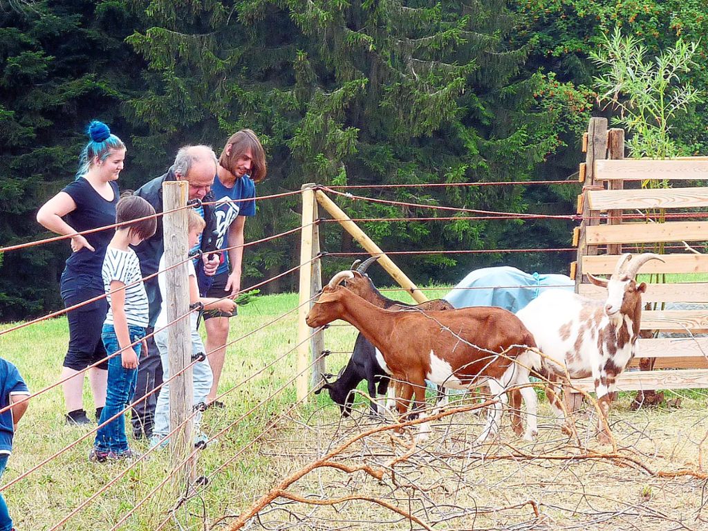 Sie fühlen sich schon heimisch rund um den Paradieshof: die Ziegen hatten viele Gäste. Foto: Hartmann