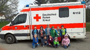 Vom Innenleben des Rettungswagen bis zum EKG lernten die Kinder viel von den Sanitätern. Foto: Kindergarten Foto: Schwarzwälder-Bote