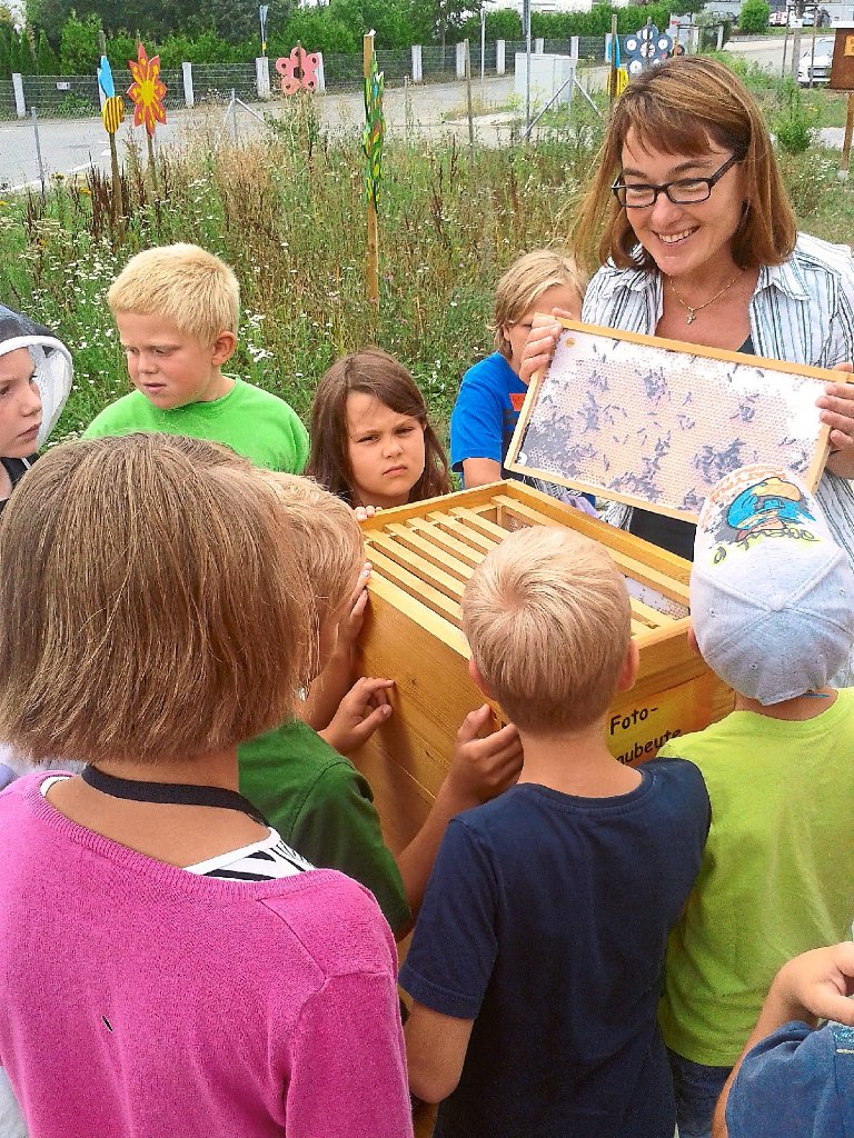 Am Bienenschaukasten konnten die Jungen und Mädchen nachvollziehen, wie ein Bienenvolk lebt.  Fotos: Glaser