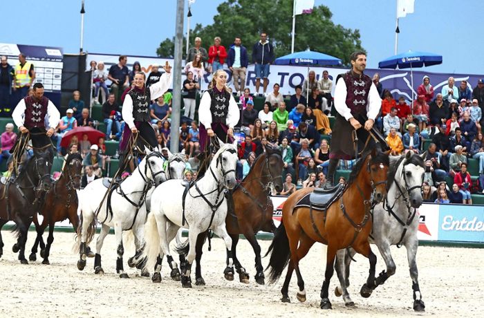 Fest der Pferde  in Donaueschingen: Feier bietet mehr als Reitsport