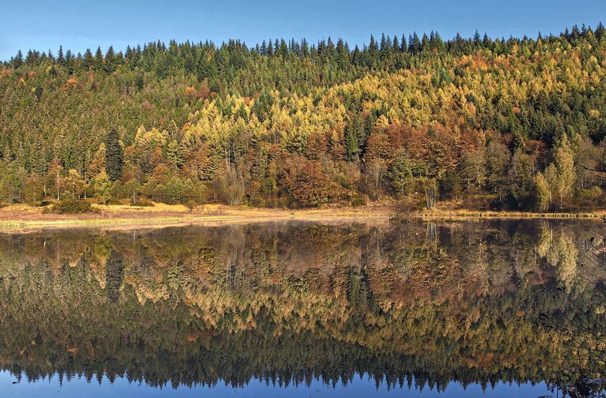 Der Sankenbachsee ist Teil einer Wanderung, die in dem handlichen Band vorgestellt wird. Foto: Freudenthal