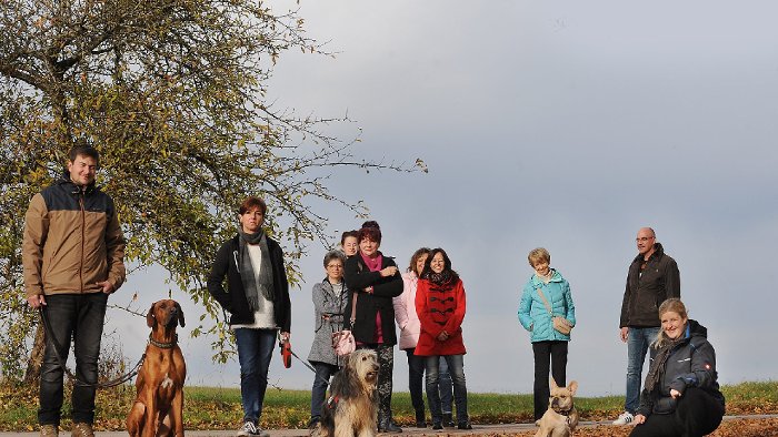 Stoppt Petition Erhöhung der Hundesteuer?