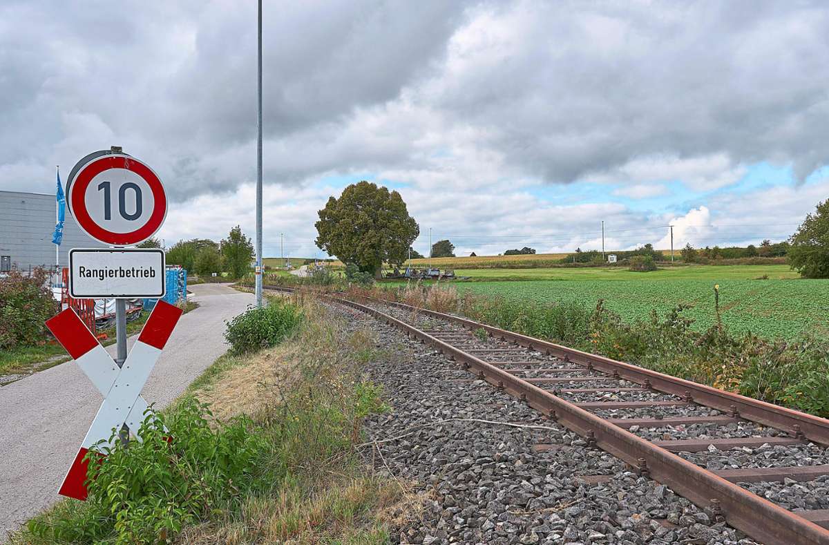 Schienen- und Straßenverkehr soll im Kombi-Terminal im Horber Heiligenfeld ermöglicht werden. (Archivfoto) Foto: Lück