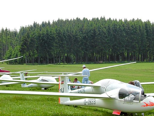 Die besten Segelflieger aus Süddeutschland kommen nach Winzeln. Foto: Veranstalter Foto: Schwarzwälder-Bote