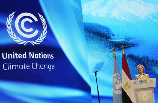 EU-Kommissionspräsidentin Ursula von der Leyen will den Kampf gegen den Klimawandel verstärken. Doch es türmt sich ein Berg von Problemen. Foto: dpa/Peter Dejong