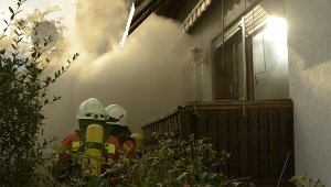 Feuerwehr löscht Brand in Küche