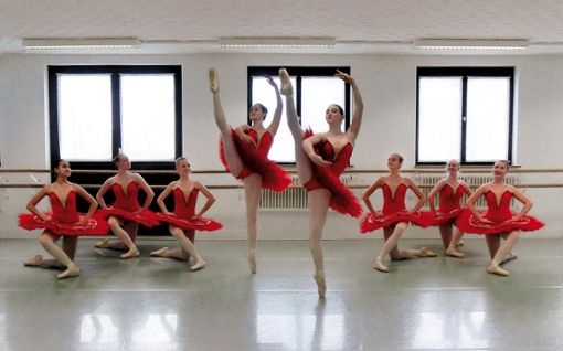 Die Schülerinnen zeigen klassisches Ballett und viele Facetten des künstlerischen Bühnentanzes. Foto: Hagendorn Foto: Schwarzwälder Bote
