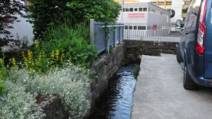 Hochwassergefahr – Eichbach soll besser abfließen können