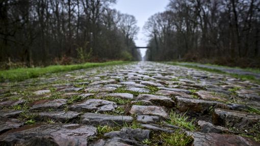 Der Rad-Klassiker Paris-Roubaix findet am Sonntag statt. Vor dem Arenberg-Wald soll nun eine Schikane das Fahrerfeld abbremsen. Foto: Dirk Waem/Belga/dpa