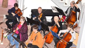 Ein Genuss für die Ohren war die Serenade des Instrumentalkreises Dornstetten in der Marienkirche in Cresbach. Das Benefizkonzert hat ein positives Echo gefunden. Foto: Walter Maier