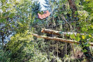 Mit einer Seilzuganlage, gesteuert vom Waldweg her, wird das Windbruchholz ins Tal geschleift.  Foto: Balzer