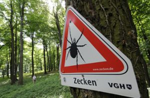 In manchen Wäldern nichts Ungewöhnliches: Schilder, die vor Zecken warnen. (Symbolfoto) Foto: dpa