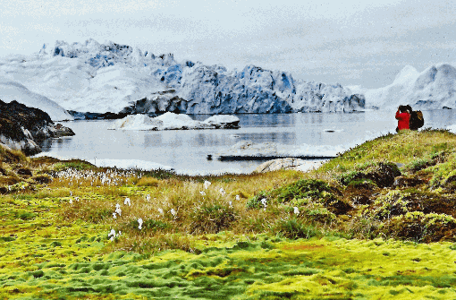 Die Kontraste zwischen den Farben am Boden und der Eis-Welt am Fjord sind so unerwartet wie frappierend. Foto: Eichler