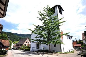 Die vier Kirchengemeinden Hausach, Hornberg, Gutach und Niederwasser werden eine Gemeinde. Foto: Archiv-Foto: Gräff