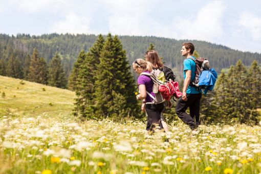 Wandern im Schwarzwald bringt Spaß und Erholung für die ganze Familie. Foto: Hochschwarzwald Tourismus GmbH