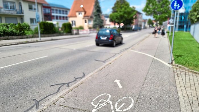 Biker weisen auf Gefahren bei den Radwegen hin