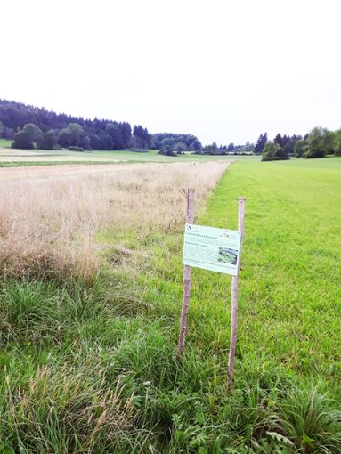 Informationstafeln zu Mähwiesen stellt das Landratsamt auf.  Foto: Klaiber Foto: Schwarzwälder Bote