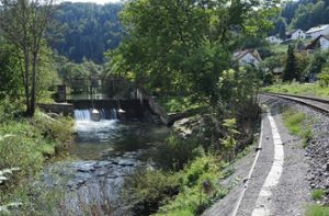 Die Zukunft der Wasserkraftanlage in Mühringen ist eines der Themen, die im Zuge des Hochwasserschutzes geklärt werden müssen. Das Landratsamt verhandelt derzeit. Foto: Hopp