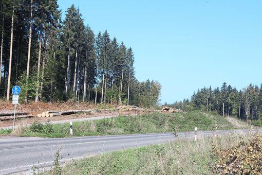 Entlang der Bundesstraße 296 sieht es licht aus – wo vorher Bäume standen, liegen die Überreste jetzt säuberlich gestapelt. Foto: Buck
